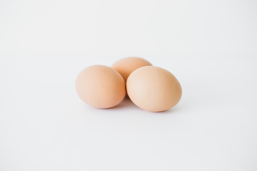 Photo chicken, eggs